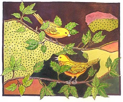 Birds Illustration